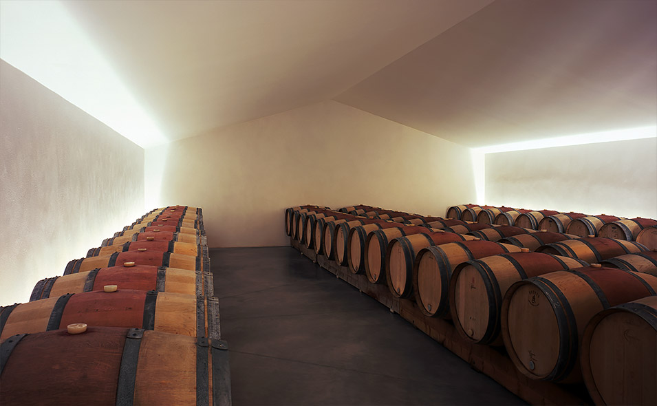 architecte passelac rocques cave viticole domaine madura 06